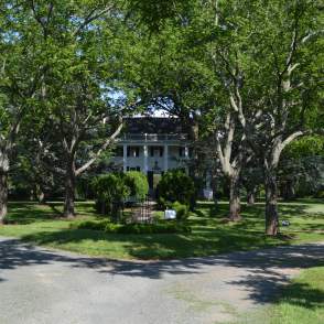 White Building located behind trees