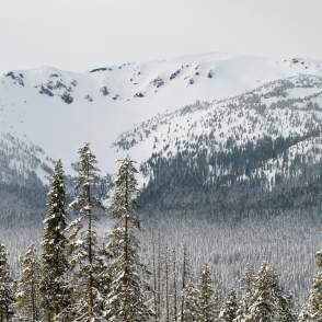 Mount Bailey