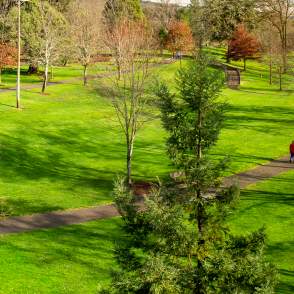 Parks