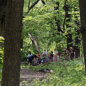 Hawthorne Glen Park