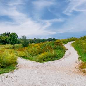 Hartung Park