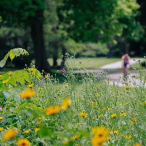 Menomonee River Parkway
