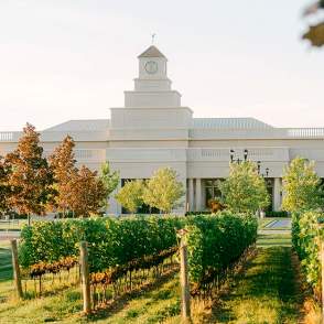 Stone Eagle Winery