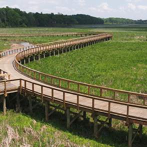 Neabsco Creek Boardwalk