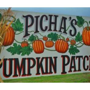Picha Farms
