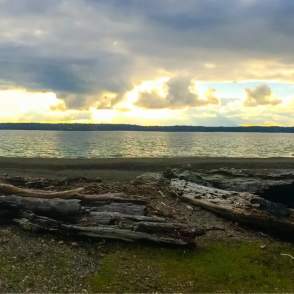 Andy’s Marine Park