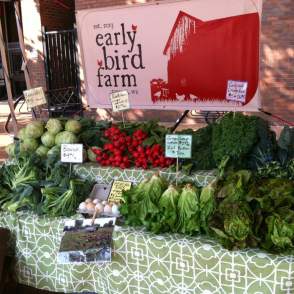 Early Bird Farm