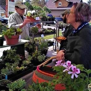 Proctor Farmers Market