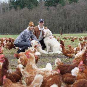 Wilcox Farms