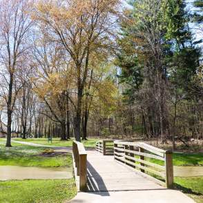 Dobbs Trail