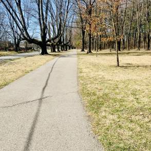 Dobbs Trail