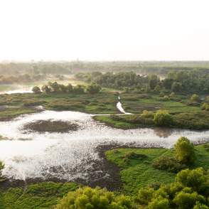 Wabashiki Fish and Wildlife Area