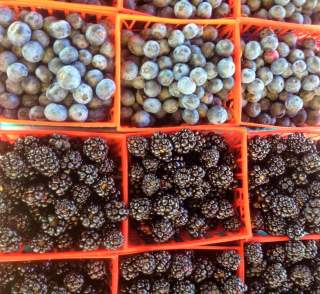 NMB FARMERS MARKET