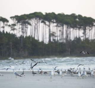 Best North Myrtle Beach Hiking Trails