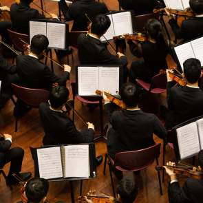 Donec Vestibulum Philharmonic