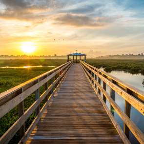 Cattail Marsh Boardwalk