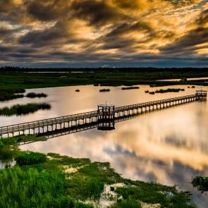 Aerial view of the boardwalk at Cattail Marsh