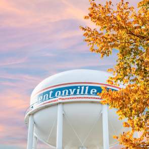 The Bentonville water tower with fall leaves and cotton candy colored sky.