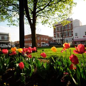 Bentonville Square with Tulips