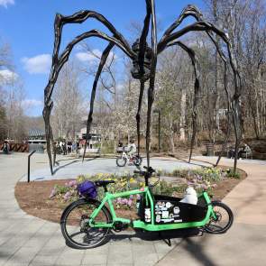 Bike Bentonville 101 |  A Beginner's Guide