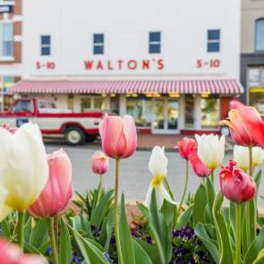 2026 Bentonville Spring Visit Guide