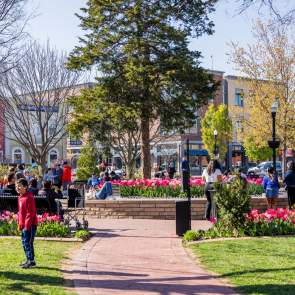 2025 Bentonville Spring Visit Guide