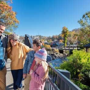 family on bridge fall