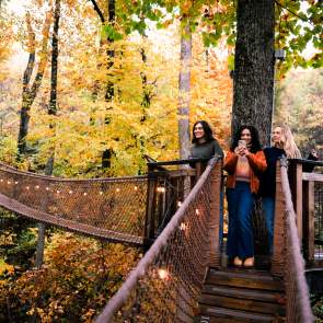 friends fall anakeesta