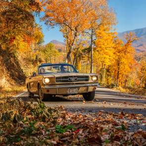 5 Fantastically Fun Reasons to Visit Gatlinburg This Fall