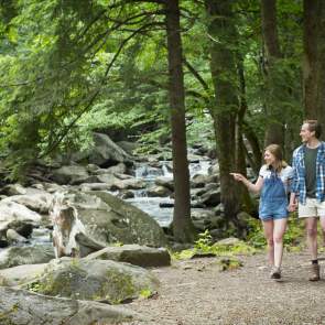 10 Fun (and Free) Things To Do While In Gatlinburg