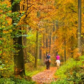 Horseback riding fall smokies