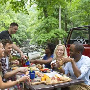 Picnic with friends Chimneys