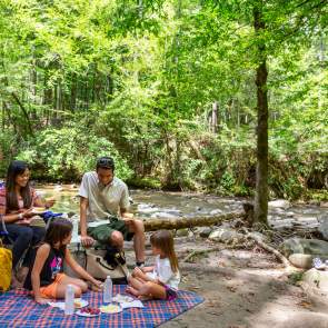 Top 8 Things to Do This Summer in Gatlinburg