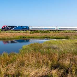 An Amtrak engine and three cars on the rail lines surrounded by marshes and bayous