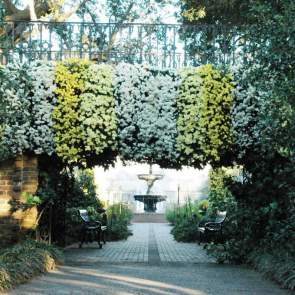 bridge with hanging mums on the sides