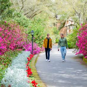 Spring Is Blooming in Mobile