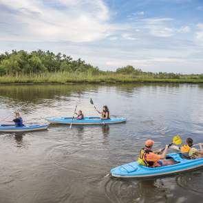Adventure on the Mobile-Tensaw River Delta