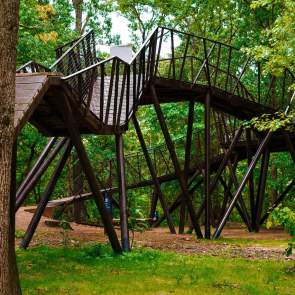 Coler Mountain Bike Preserve