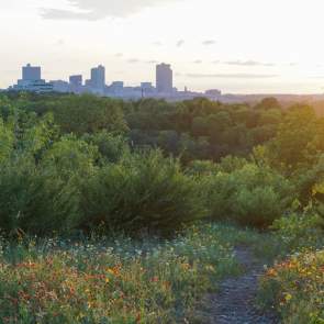 Tandy Hills/Stratford Park Natural Area