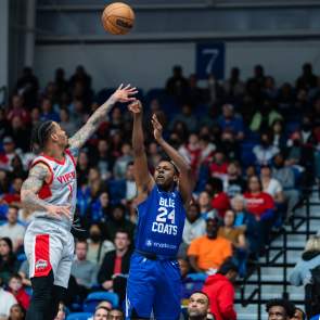 Delaware Blue Coats