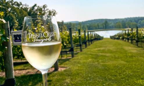 Tunnel Creek Vineyards