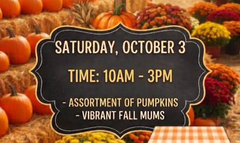 Fall Fun