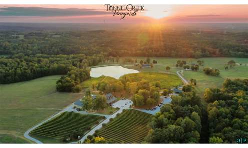 Winery Tours
