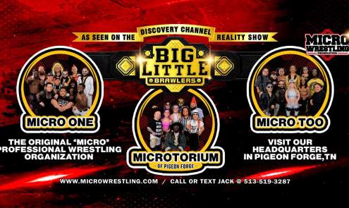 Micro Wrestling