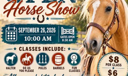 Open Horse Show