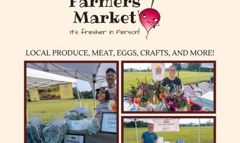 Farmer's Market Pop-Up