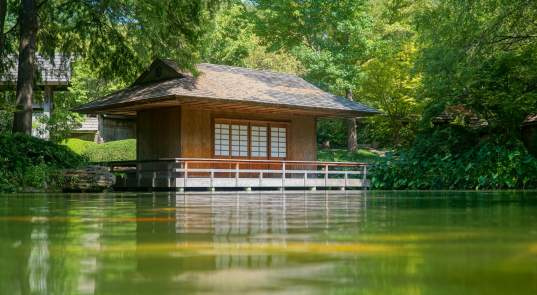 Japan Meets Fort Worth