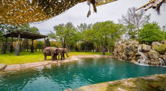 Spend A Day At The Fort Worth Zoo
