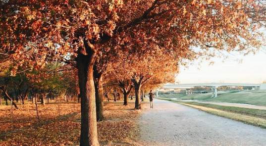 Fall Fun in Fort Worth