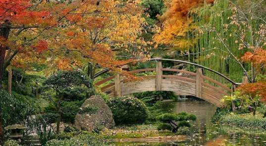 Where To Find Fall Foliage in Fort Worth